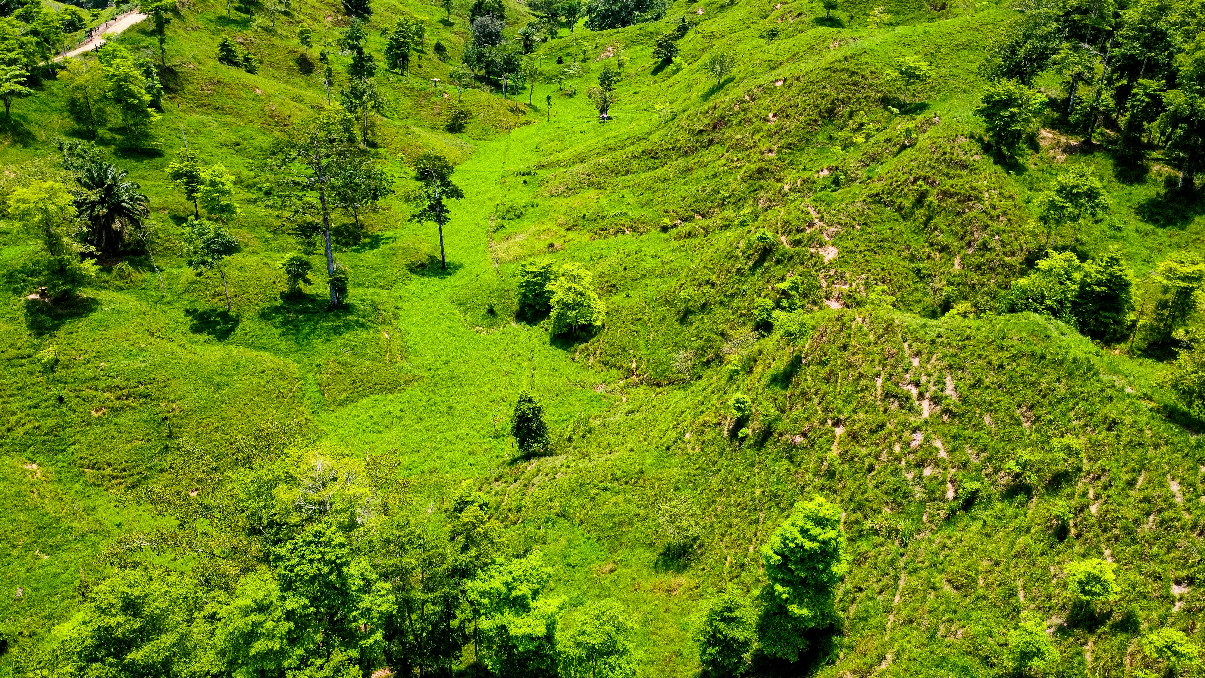 Lush green Colombian hills from above